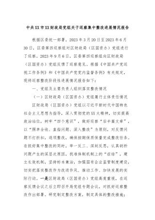 中共XX市XX财政局党组关于巡察集中整改进展情况报告