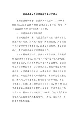 某县县委关于巡视整改进展情况报告