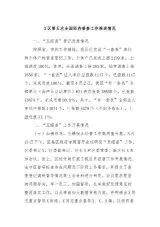 X区第五次全国经济普查工作推进情况