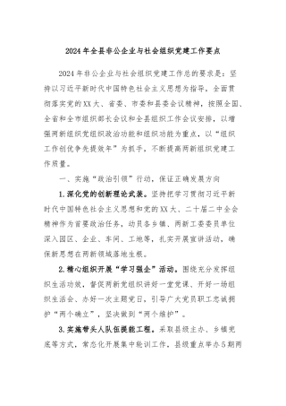 2024年全县非公企业与社会组织党建工作要点
