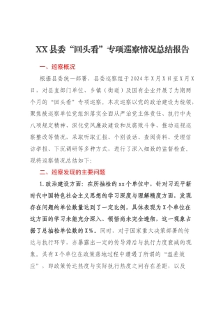 XX县委“回头看”专项巡察情况总结报告