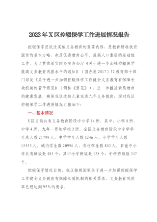 2023年X区控辍保学工作进展情况报告