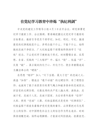 在党纪学习教育中淬炼“执纪利剑”