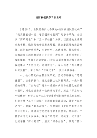 消防救援队伍工作总结