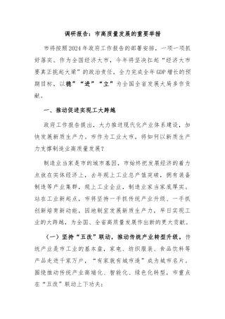 调研报告：市高质量发展的重要举措