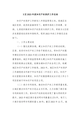 X区2023年度知识产权保护工作总结