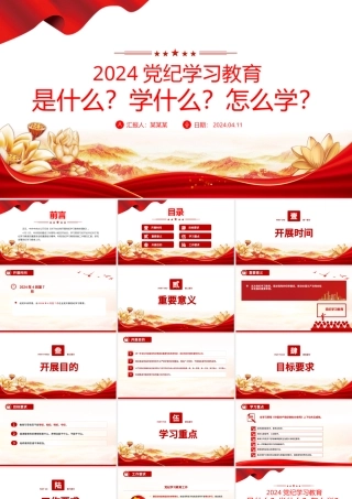 2024年党纪学习教育是什么学什么怎么学党的纪律建设 (2)