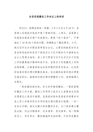 在县巡视整改工作会议上的讲话