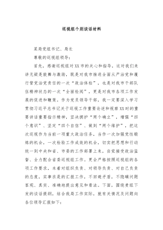 巡视组个别谈话材料