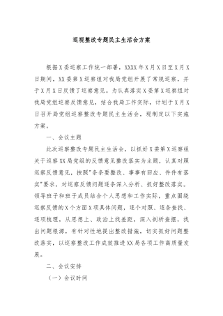 巡视整改专题民主生活会方案