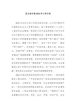 区公安分局2024年工作计划