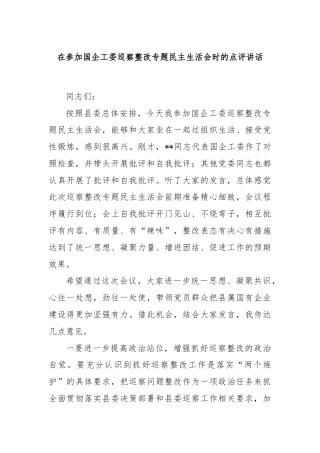 在参加国企工委巡察整改专题民主生活会时的点评讲话