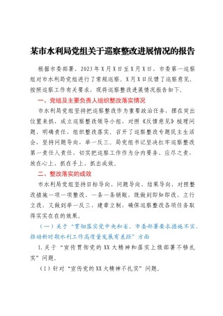 某市水利局党组关于巡察整改进展情况的报告