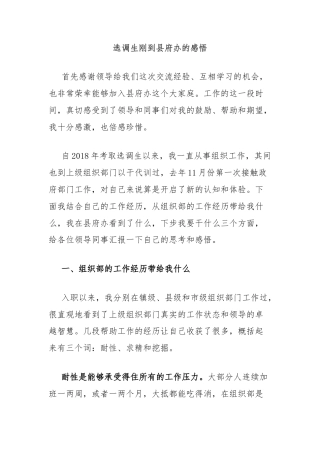 选调生刚到县府办的感悟