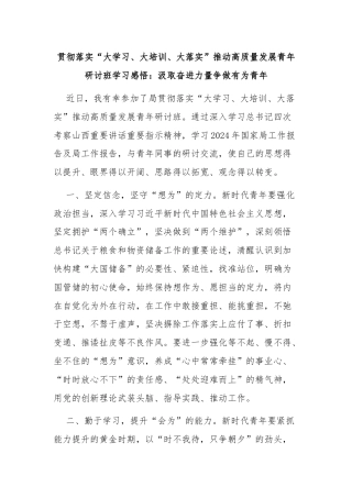 贯彻落实“大学习、大培训、大落实”推动高质量发展青年研讨班学习感悟：汲取奋进力量争做有为青年