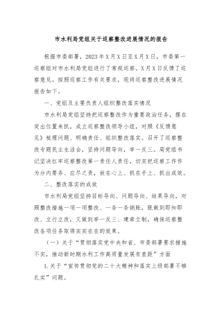 市水利局党组关于巡察整改进展情况的报告