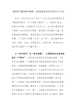 党纪学习教育研讨感悟：让责任担当在守正笃行中不止步