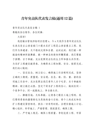 青年突击队代表发言稿(通用12篇)