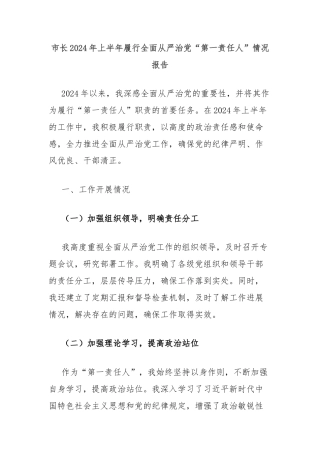 市长2024年上半年履行全面从严治党“第一责任人”情况报告