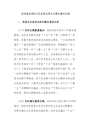 浅谈基层消防大队党委会常见问题及解决对策