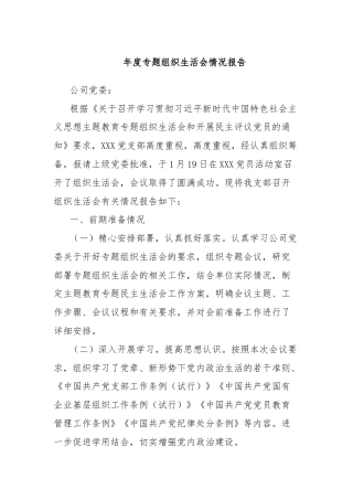 年度专题组织生活会情况报告