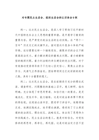 对专题民主生活会、组织生活会的认识体会9例