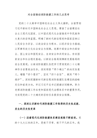 对全面推动消防救援工作的几点思考