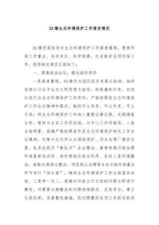 XX镇生态环境保护工作落实情况