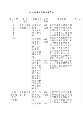 2024年廉政风险点情况表