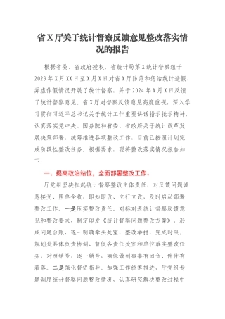 省X厅关于统计督察反馈意见整改落实情况的报告
