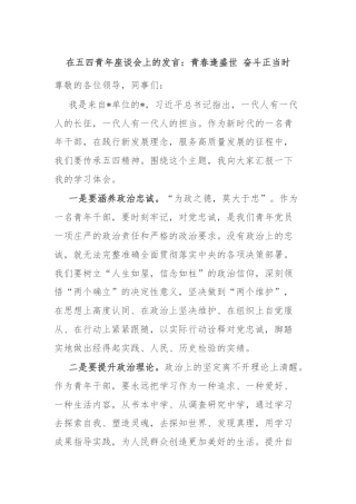在五四青年座谈会上的发言：青春逢盛世 奋斗正当时