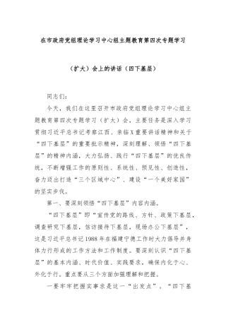 在市政府党组理论学习中心组主题教育第四次专题学习（扩大）会上的讲话（四下基层）