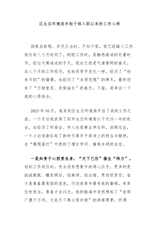 区生态环境局年轻干部入职以来的工作心得