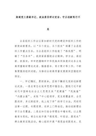 街道党工委副书记、政法委员研讨发言：守正创新笃行不怠