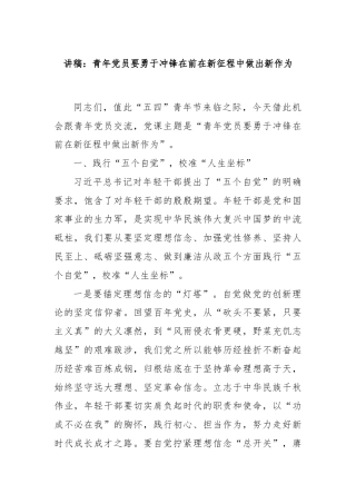 讲稿：青年党员要勇于冲锋在前在新征程中做出新作为