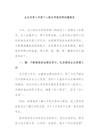 企业负责人年度个人综合考核述职述廉报告