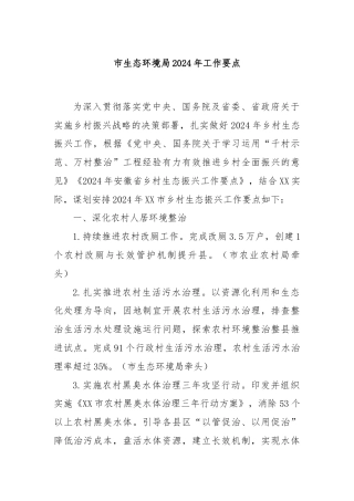 市生态环境局2024 年工作要点