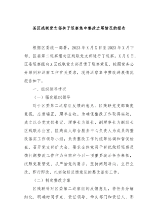 某区残联党支部关于巡察集中整改进展情况的报告