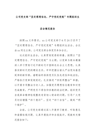 公司党支部“坚定理想信念，严守党纪党规”专题组织生活会情况报告