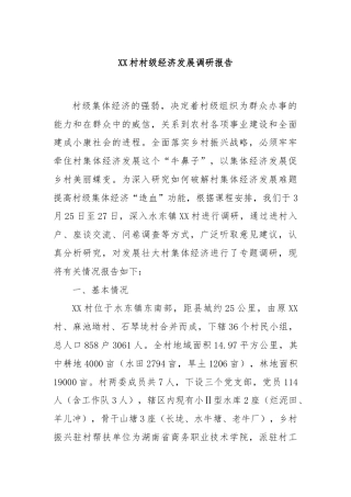 XX村村级经济发展调研报告