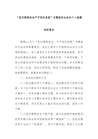 “坚定理想信念严守党纪党规”专题组织生活会个人查摆剖析报告