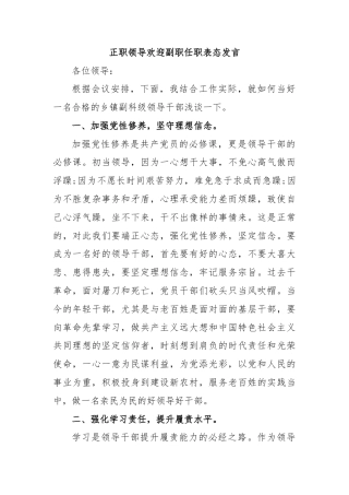 正职领导欢迎副职任职表态发言