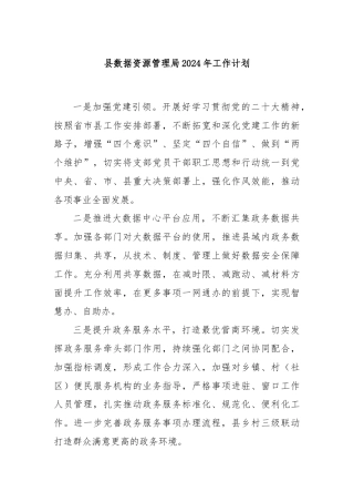 县数据资源管理局2024年工作计划