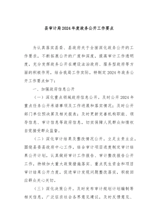 县审计局2024年度政务公开工作要点