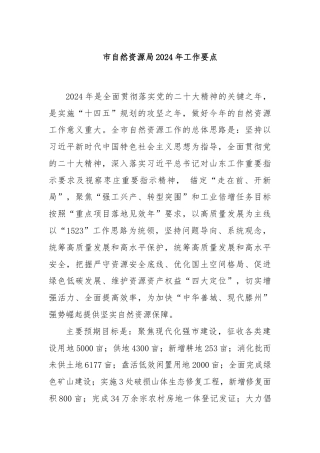 市自然资源局2024年工作要点