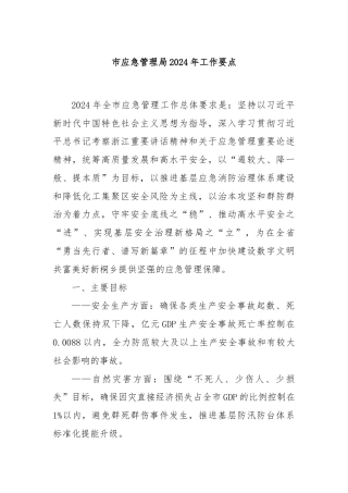 市应急管理局2024年工作要点