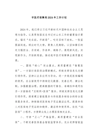 市医疗保障局2024年工作计划
