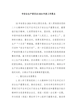 市安全生产委员会2024年度工作要点