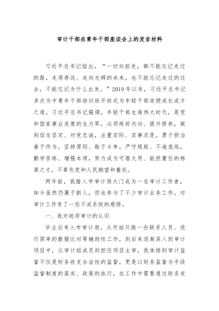 审计干部在青年干部座谈会上的发言材料