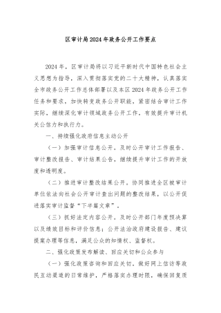 区审计局2024年政务公开工作要点